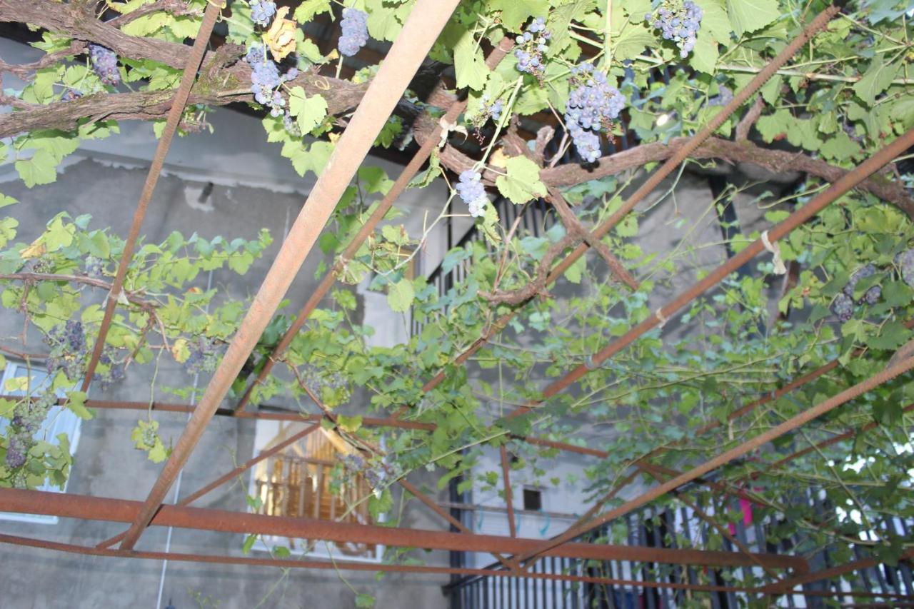 Guest House Katerina クタイシ エクステリア 写真